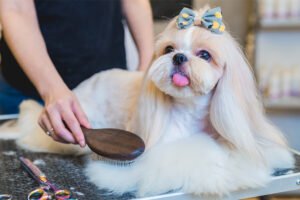 dog grooming tips